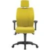 Pledge Ethos Medium Back Posture Chair With Headrest