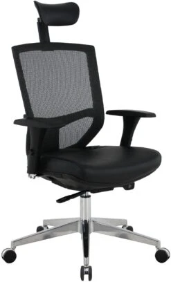 Eve 24/7 Ergonomic Mesh And Leather Task Chair