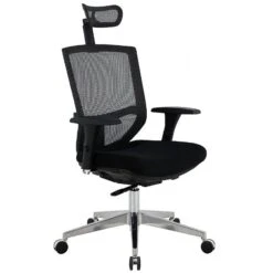 Eve 24/7 Ergonomic Mesh & Fabric Task Chair